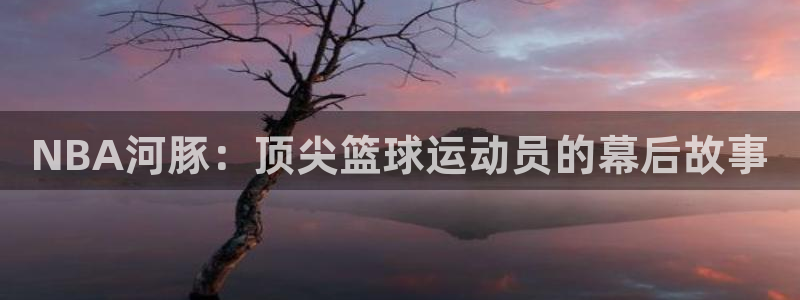 NBA河豚：顶尖篮球运动员的幕后故事