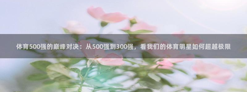 体育500强的巅峰对决：从500强到300强，看我们的体育明星如何超越极限
