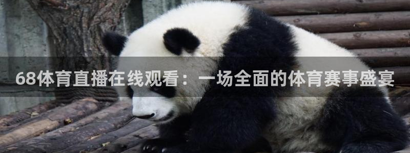 68体育直播在线观看：一场全面的体育赛事盛宴