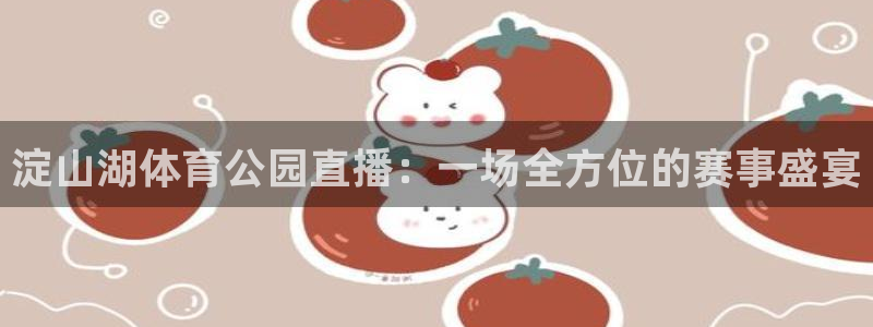 淀山湖体育公园直播：一场全方位的赛事盛宴