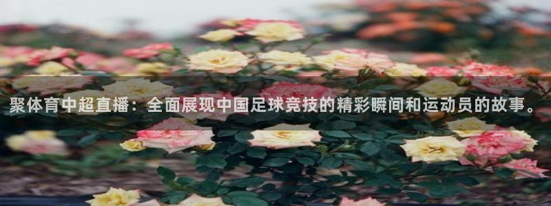 聚体育中超直播：全面展现中国足球竞技的精彩瞬间和运动员的故事。
