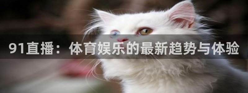 91直播：体育娱乐的最新趋势与体验