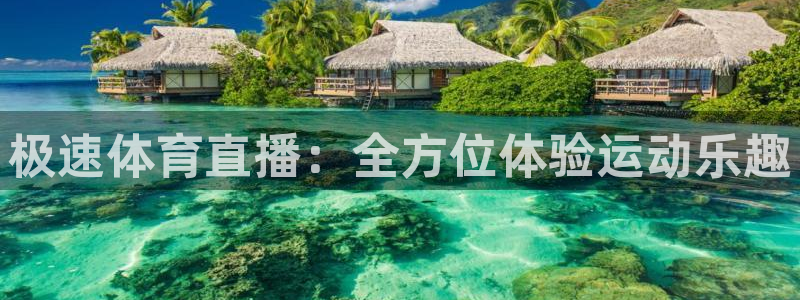 极速体育直播：全方位体验运动乐趣