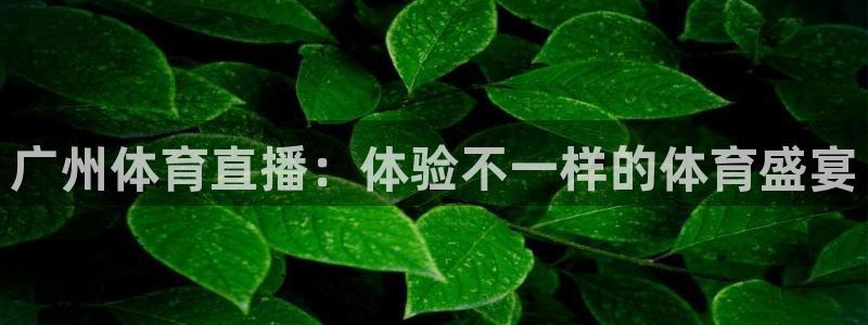 广州体育直播：体验不一样的体育盛宴