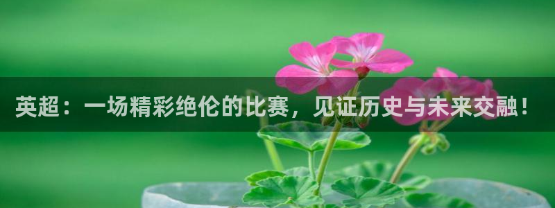 英超：一场精彩绝伦的比赛，见证历史与未来交融！