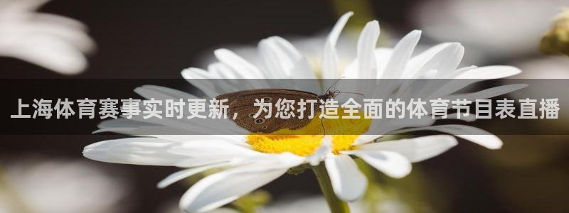 上海体育赛事实时更新，为您打造全面的体育节目表直播