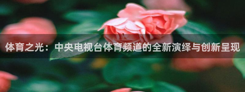 体育之光：中央电视台体育频道的全新演绎与创新呈现