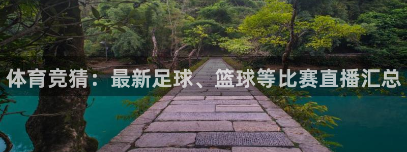 体育竞猜：最新足球、篮球等比赛直播汇总