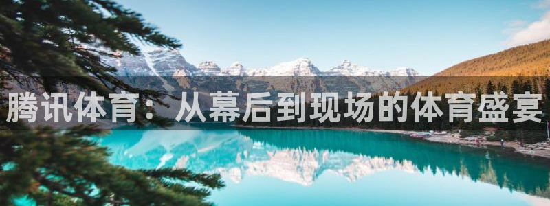 腾讯体育：从幕后到现场的体育盛宴