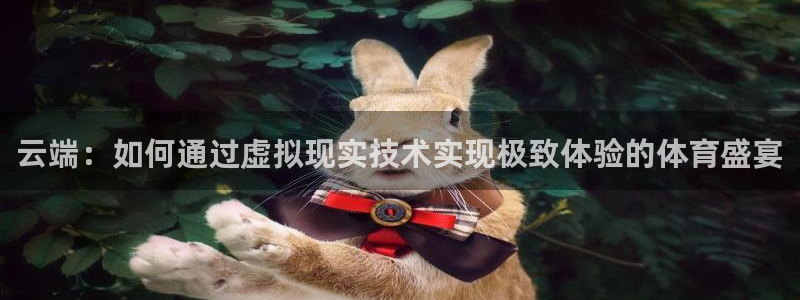 云端：如何通过虚拟现实技术实现极致体验的体育盛宴