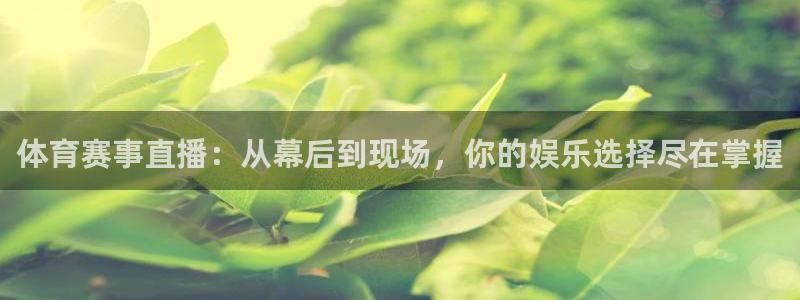 体育赛事直播：从幕后到现场，你的娱乐选择尽在掌握