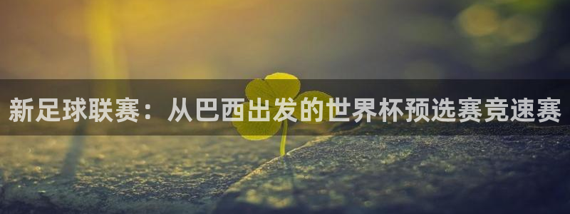 新足球联赛：从巴西出发的世界杯预选赛竞速赛