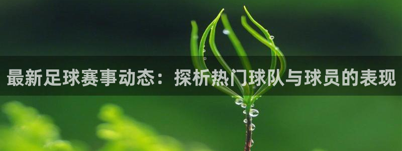 最新足球赛事动态：探析热门球队与球员的表现