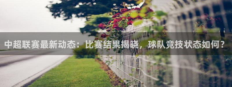 中超联赛最新动态：比赛结果揭晓，球队竞技状态如何？