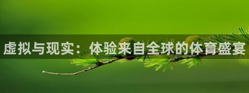 虚拟与现实：体验来自全球的体育盛宴