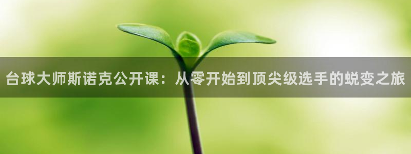 台球大师斯诺克公开课：从零开始到顶尖级选手的蜕变之旅