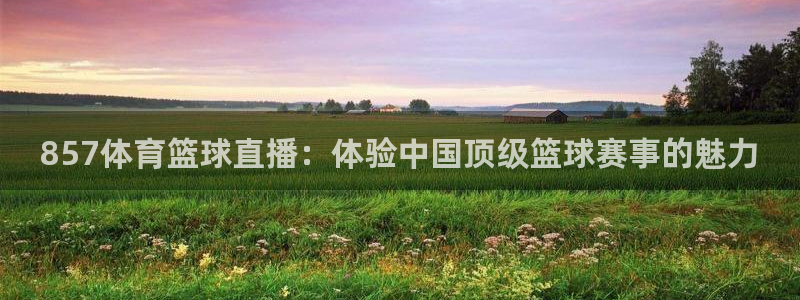 857体育篮球直播：体验中国顶级篮球赛事的魅力