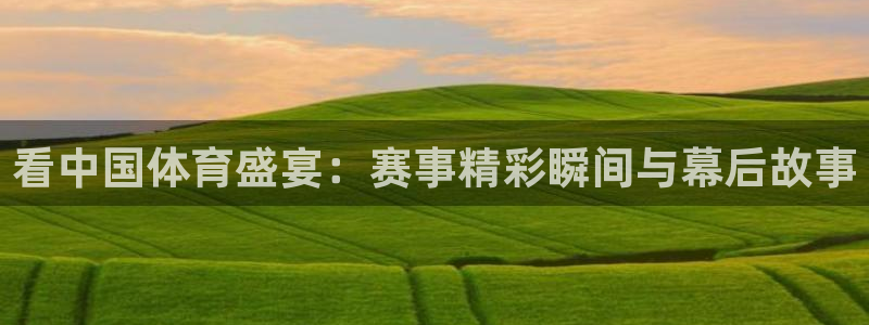 看中国体育盛宴：赛事精彩瞬间与幕后故事