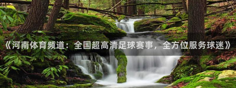 《河南体育频道：全国超高清足球赛事，全方位服务球迷》