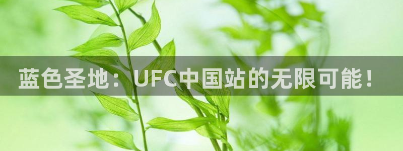 蓝色圣地：UFC中国站的无限可能！