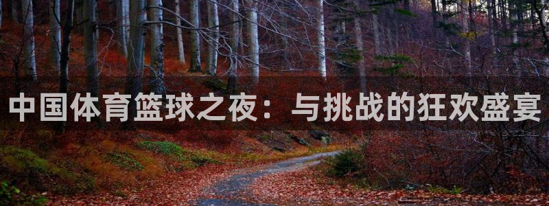 中国体育篮球之夜：与挑战的狂欢盛宴