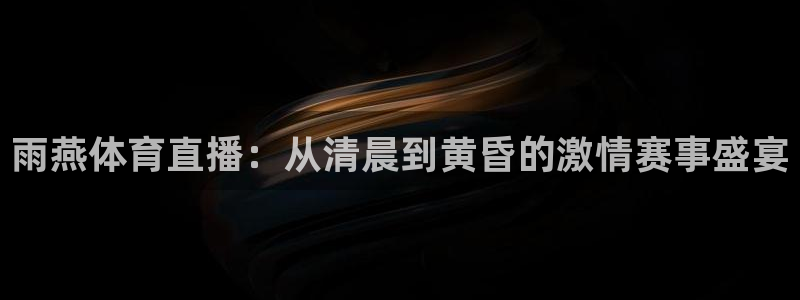 雨燕体育直播：从清晨到黄昏的激情赛事盛宴