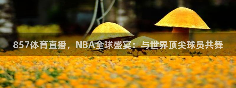 857体育直播，NBA全球盛宴：与世界顶尖球员共舞