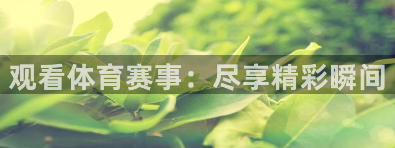 观看体育赛事：尽享精彩瞬间