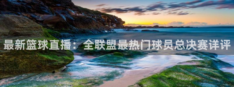 最新篮球直播：全联盟最热门球员总决赛详评