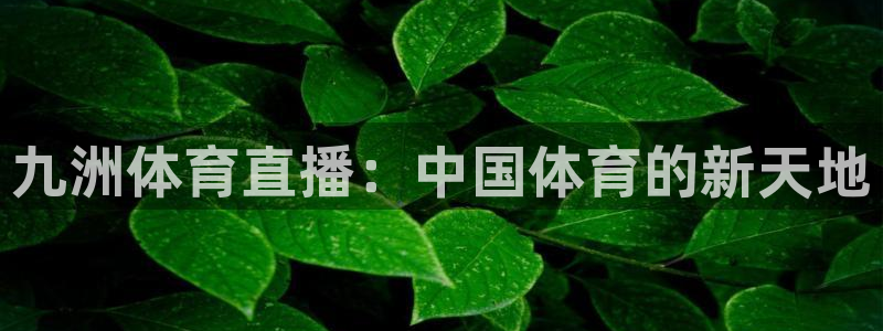 九洲体育直播：中国体育的新天地