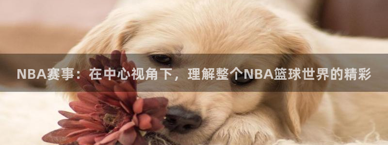 NBA赛事：在中心视角下，理解整个NBA篮球世界的精彩