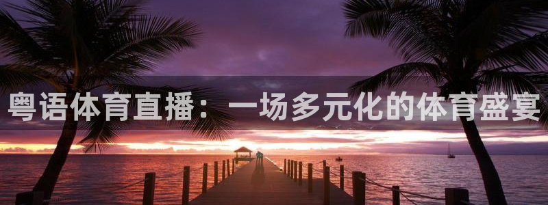 粤语体育直播：一场多元化的体育盛宴