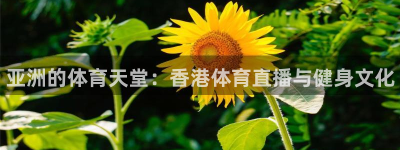 亚洲的体育天堂：香港体育直播与健身文化