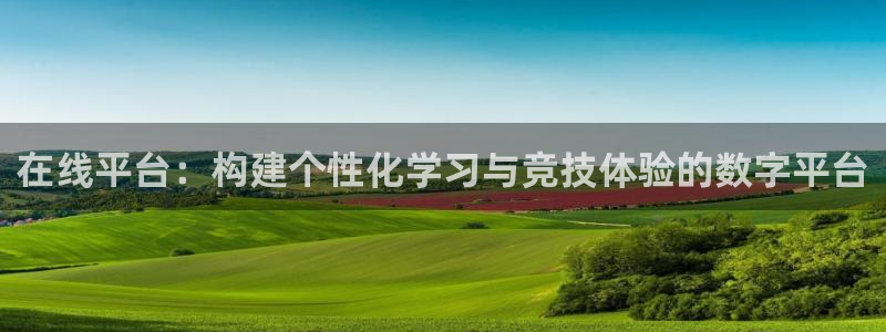 在线平台：构建个性化学习与竞技体验的数字平台