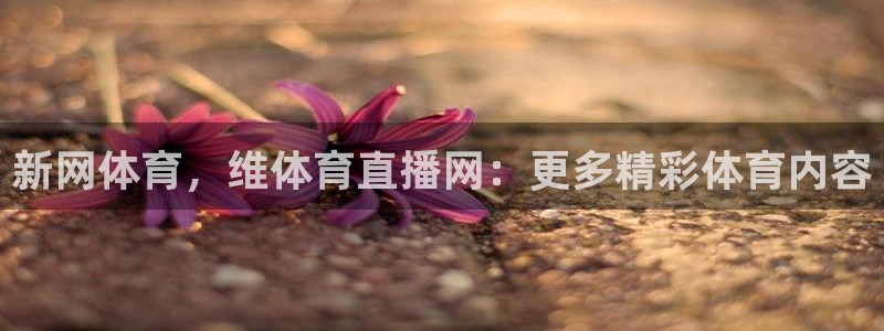 新网体育，维体育直播网：更多精彩体育内容