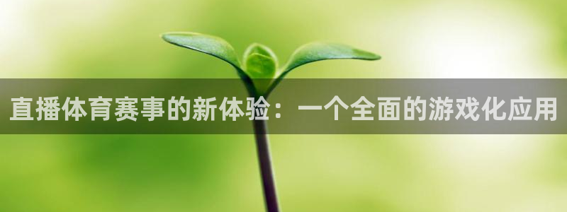 直播体育赛事的新体验：一个全面的游戏化应用